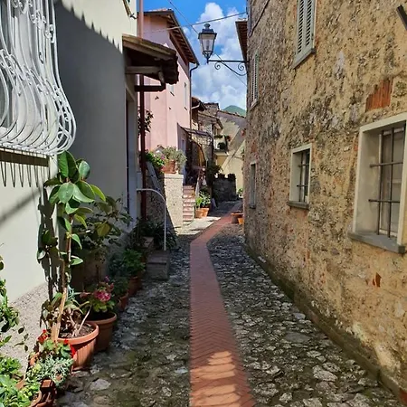 Apartment Camaiore *